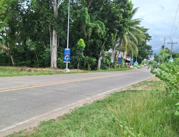 Commercial property for sale in Panglao Bohol Philippines.