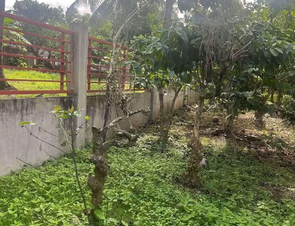 883 sqm Residential Farm For Sale in Alfonso Cavite