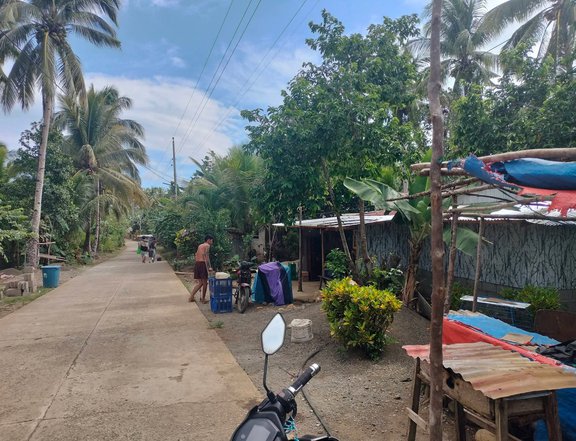 Farm Lot for Sale in Surigao City with 312 Meters Frontage