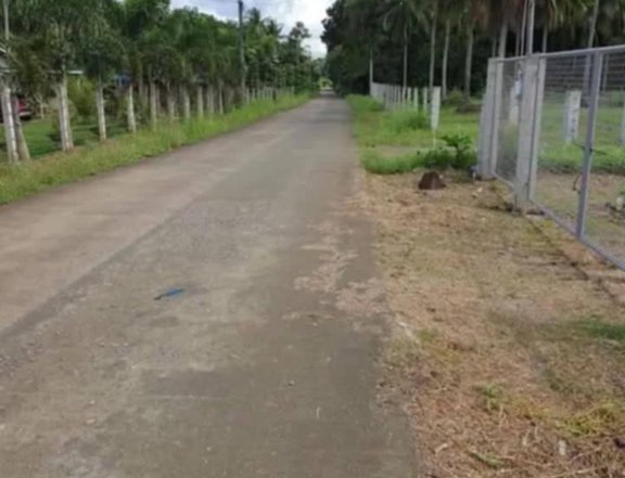 2,000 sqm Residential Farm For Sale in Padre Garcia Batangas