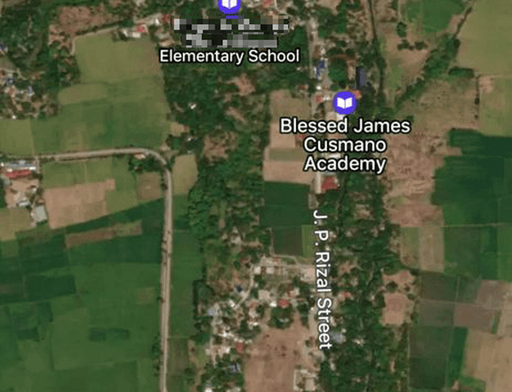Farm lot / palayan, direct owner, clean title