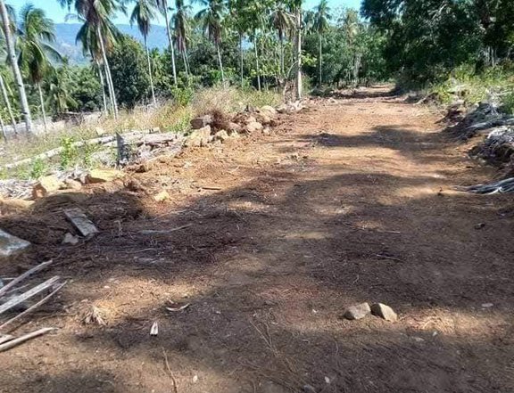 100 sqm residential lot for installment in Pagadian City Zamboanga del Sur