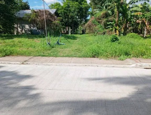 1,000 sqm Lot For Sale in Padre Garcia Batangas