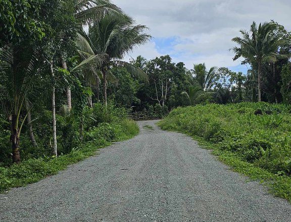 HULUGANG FARM LOT NA MALAPIT SA TAGAYTAY