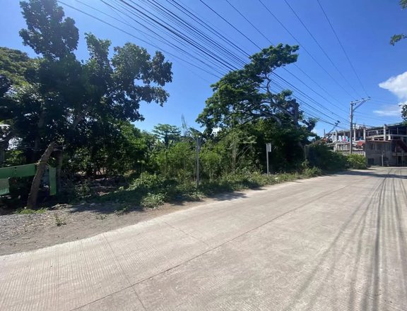 COMMERCIAL LOT FOR SALE PANGLAO BOHOL