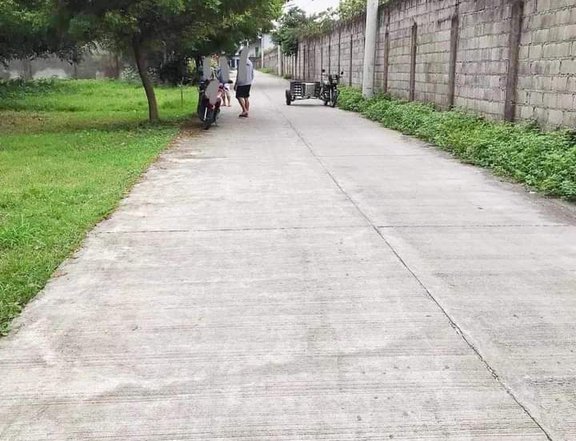 500 sqm Residential Lot For Sale in san fernandoPampanga