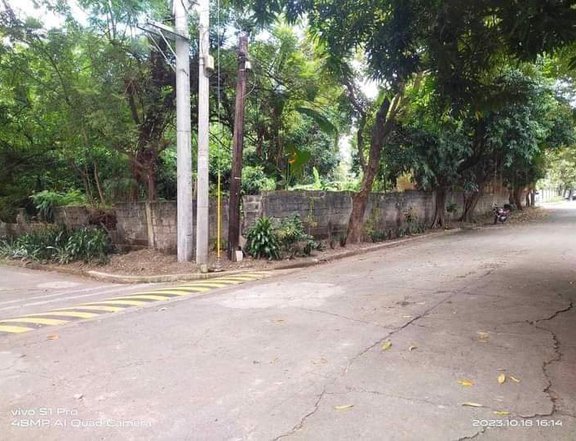 Lot for sale Better Living Paranaque Executive village 595sqm 30k per sqm Corner Lot Clean title