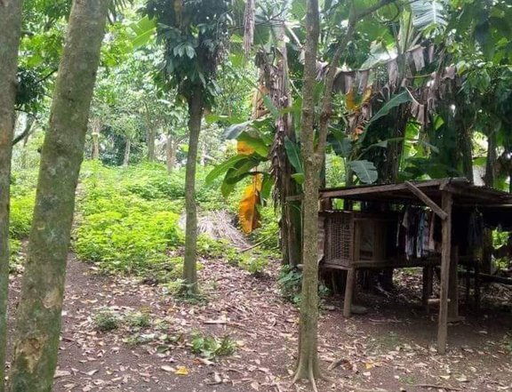 2,140 sqm Agricultural Farm For Sale in San Jose Batangas