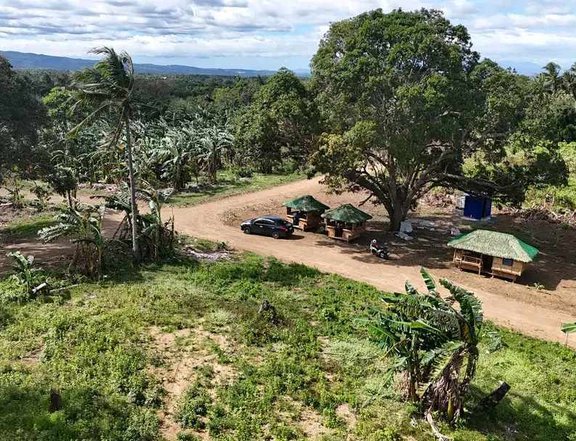 500 sqm Residential Farm For Sale in Indang Cavite
