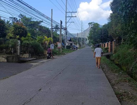 1,309 sqm commercial Residential Farm For Sale in Cuenca Batangas mainroad