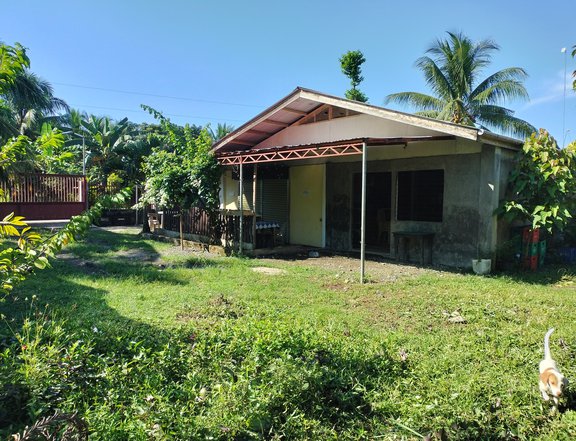 2022 sqm compound  of 3 houses in four titled lots at purok 6 brgy manay panabo city davao del norte