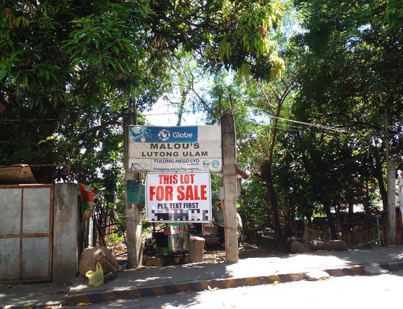 299 sqm Residential Lot at the Pleasant Village Alabang Muntinlupa