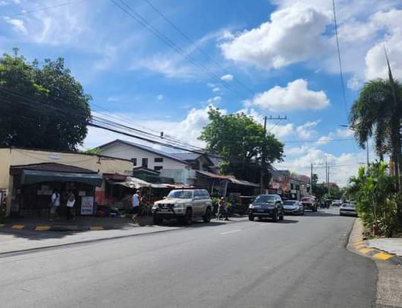 483 sqm commercial Residential Lot For Sale in bf resort Las Pinas