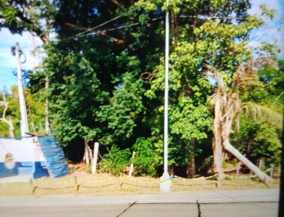 natinal hway commercial lot