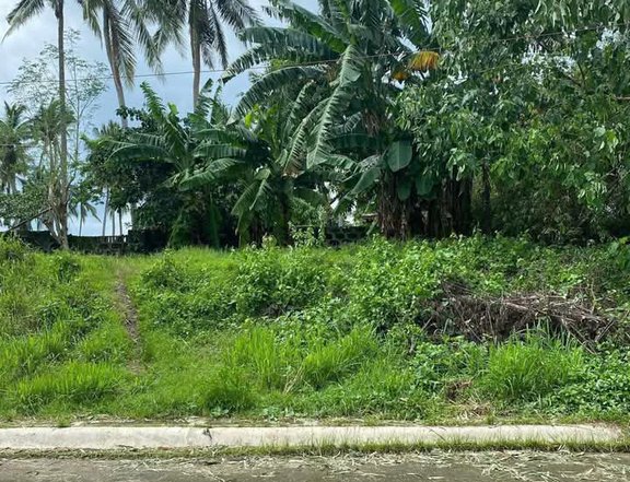 170 sqm Residential Farm For Sale in san pablo Laguna