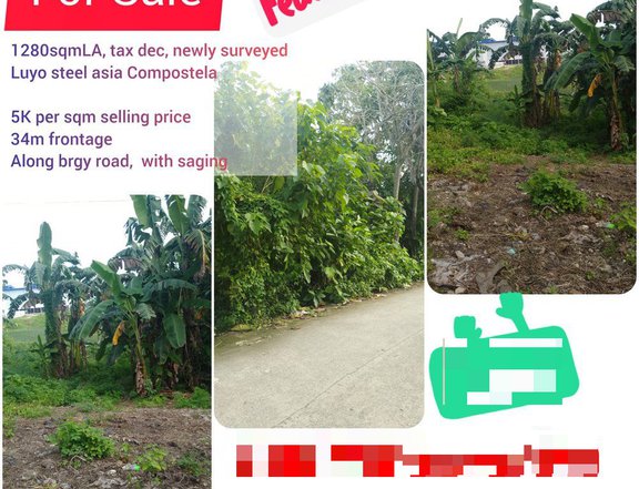 Long Frontage Lot Along Cemented brgy road Lot for sale in Compostela Cebu