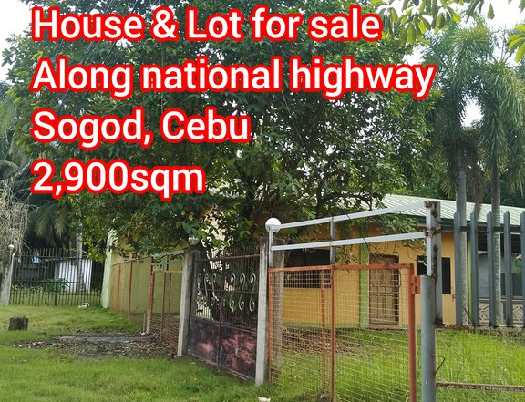 Along National Hiway House & Lot in Sogod Cebu One Propertee Commercial Residential Fully Furnished