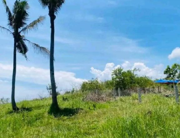 Residential Lot, 100sqm, Rizal Pinamungajan Cebu