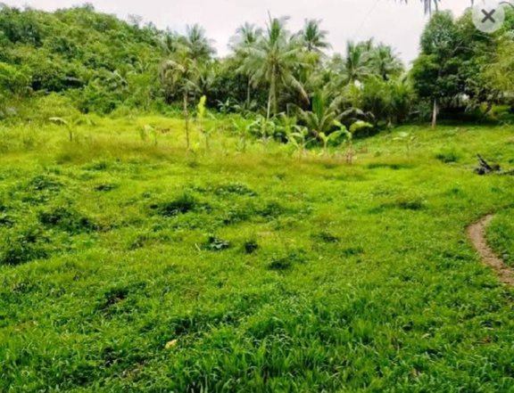 4,284 sqm Residential Lot For Sale in Pinamungajan Cebu