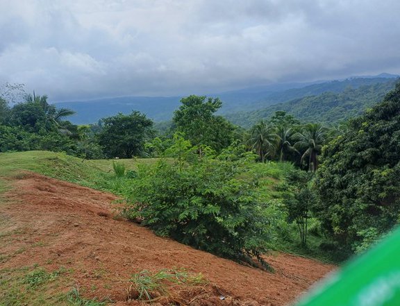 FARM LOT ALONG BRGY ROAD DAYAPA TANAY