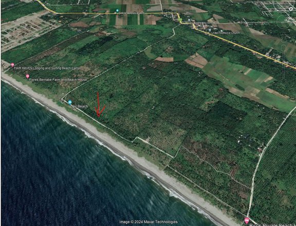 5000 sqm Beach-front Lot for sale in Ipil Beach Dipaculao, Aurora