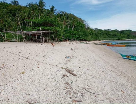 Island For Sale in Oriental Mindoro - CRS0147