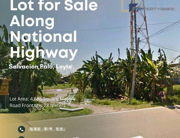 4,685 sqm Commercial Lot For Sale in Palo Leyte