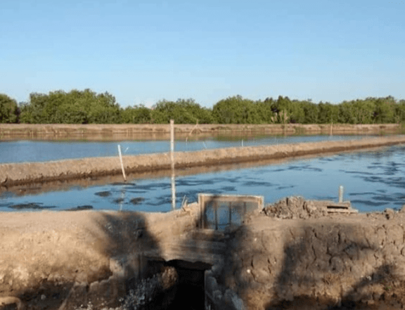 Fishpond for Sale in Cadiz City