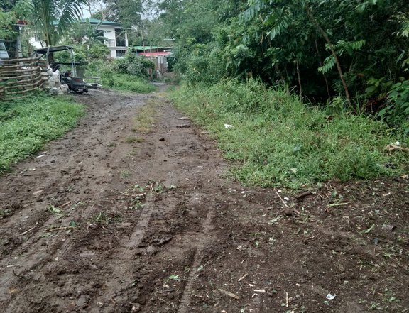 Farm lot with affordable price for sale with fruits bearing