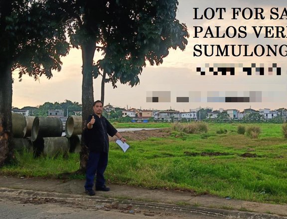 I'm selling titled,rfo residential lot in palos verdes subdivision,sumulong highway,antipolo city