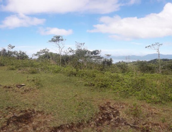 Prime 171,236 sqm Vacant Lot in Lumban, Laguna
