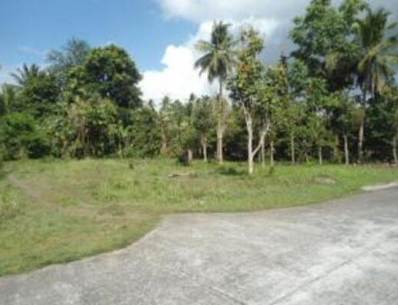 Foreclosed 770 sqm Residential Lot For Sale in San Pablo Laguna