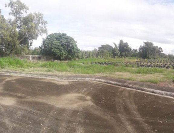Foreclosed 774 sqm Residential Lot For Sale in Santa Rosa Laguna