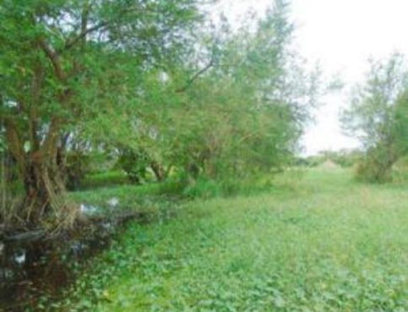 Foreclosed 4,193 sqm Residential Lot For Sale in Binan Laguna