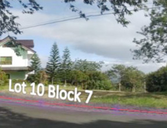 Foreclosed 753 sqm Residential Lot For Sale in Tanauan Batangas