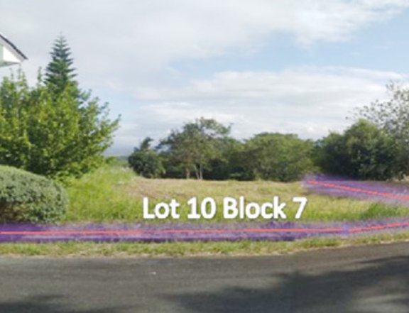 Tagaytay Midlands Plantation Hills Foreclosed Residential Lot For Sale in Tanauan Batangas
