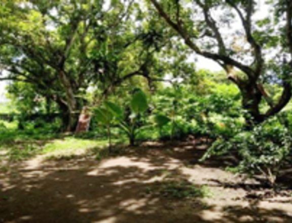 Foreclosed 2.58 hectares Residential Lot For Sale in Los Banos Laguna