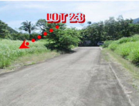 Foreclosed 338 sqm Residential Lot For Sale in Santo Tomas Batangas