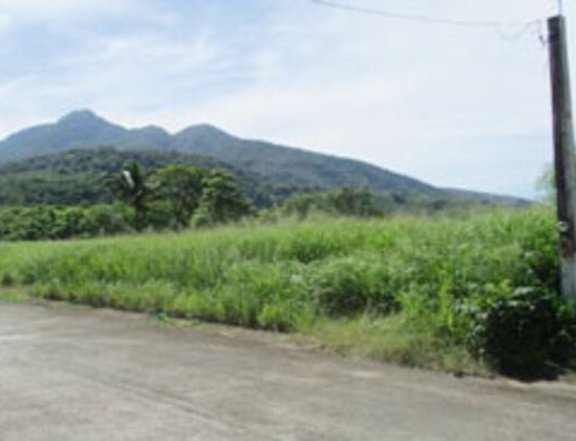 Foreclosed 328 sqm Residential Lot For Sale in Santo Tomas Batangas