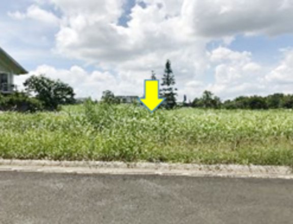 Foreclosed 397 sqm Residential Lot For Sale in Tanauan Batangas