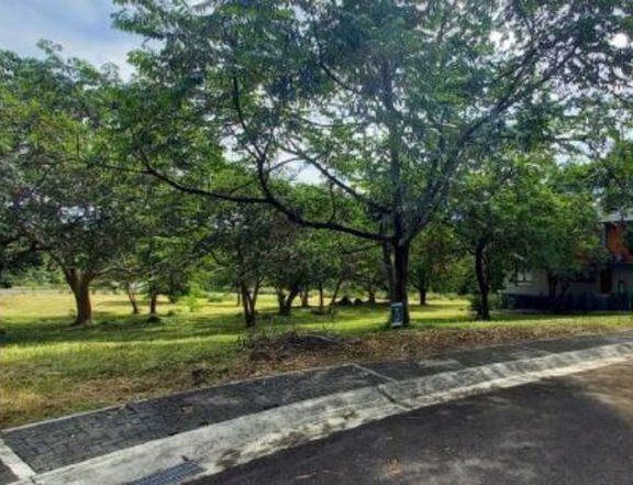 Foreclosed 130 sqm Residential Lot For Sale in Batangas City