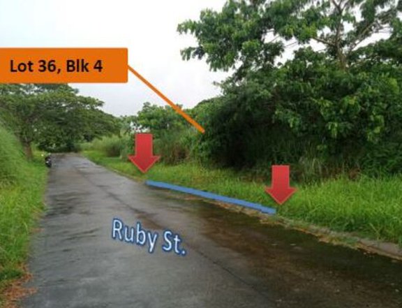 Foreclosed 130 sqm Residential Lot For Sale in Batangas City