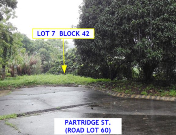 Foreclosed 594 sqm Residential Lot For Sale in Laurel Batangas