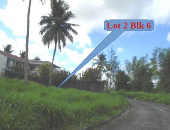 Foreclosed 279 sqm Residential Lot For Sale in Lipa Batangas