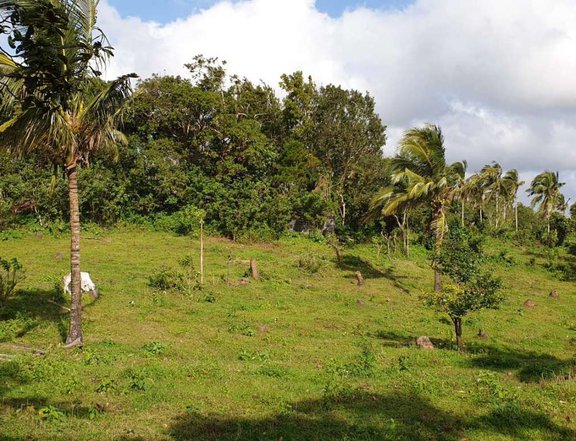 Residential Farm lot for sale near Tagaytay with Cemented road