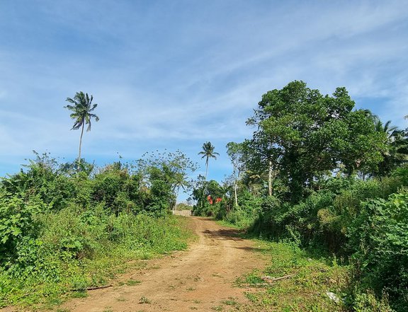 Residential Farm lot with clean title near Tagaytay