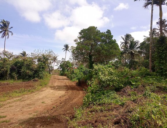 1000 sqm Residential Farm For Sale in brgy. Luksuhin
