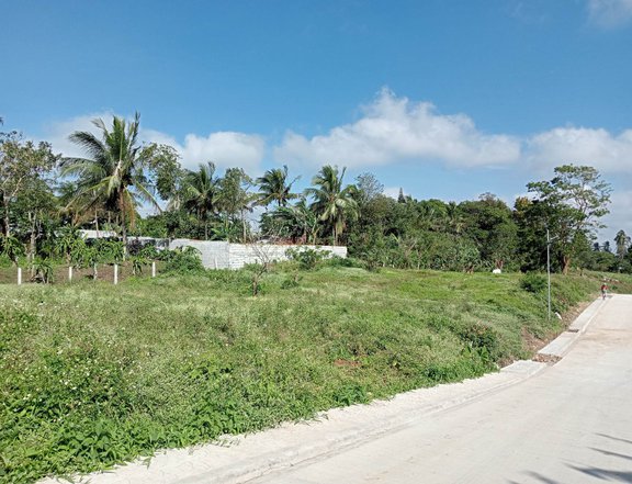 Agricultural farm lot near Tagaytay - for residential only