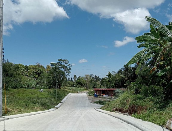Affordable residential farm lot for sale in Alfonso