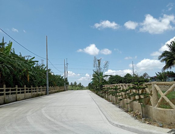 Agricultural farm lot for sale near Tagaytay